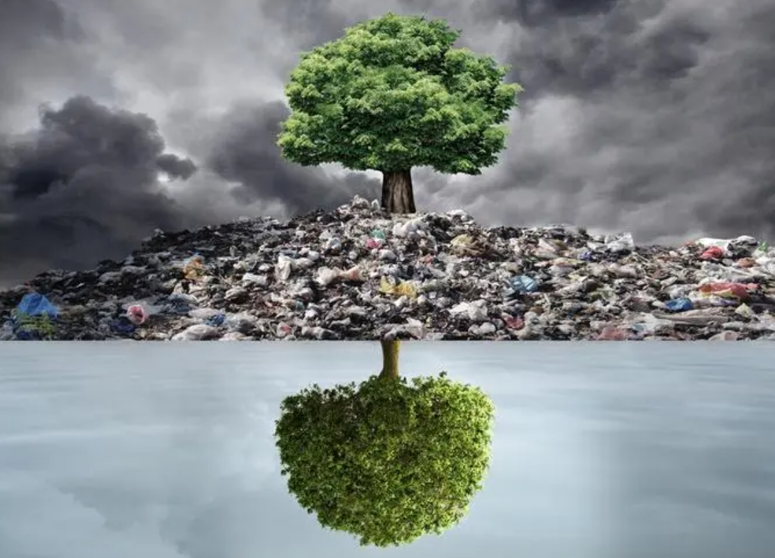 一圖讀懂|《含重金屬污泥綜合利用污染控制技術規范》